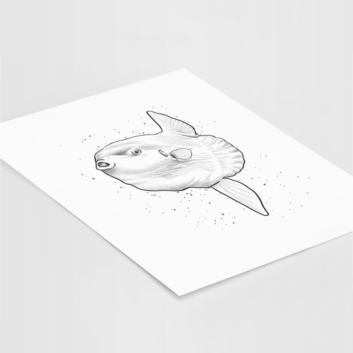 Art print of a black ink illustration of an ocean sunfish swimming, lying at an angle on a white surface.