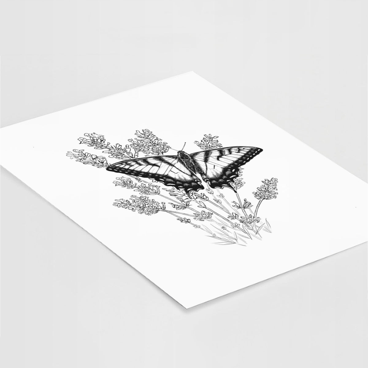 Art print of a black ink illustration of a swallowtail butterfly resting on lavender, lying at an angle on a white surface.
