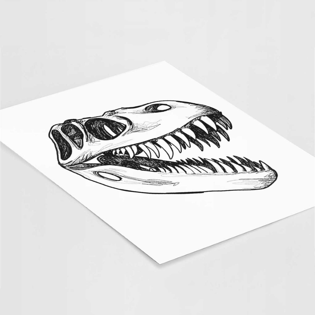 Art print of a black ink illustration of a Tyrannosaurus rex skull with sharp teeth, lying at an angle on a white surface.