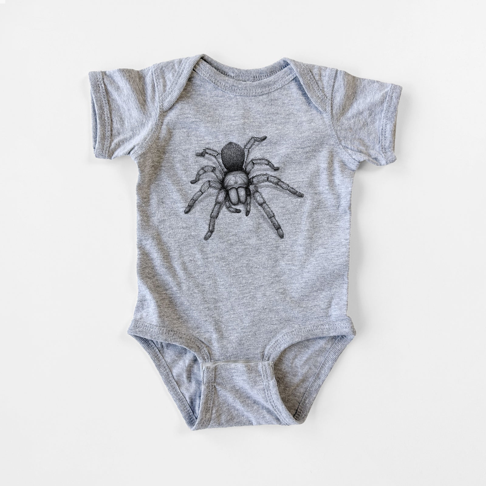 Grey baby bodysuit laid flat, printed with a detailed black ink illustration of a desert blonde tarantula.