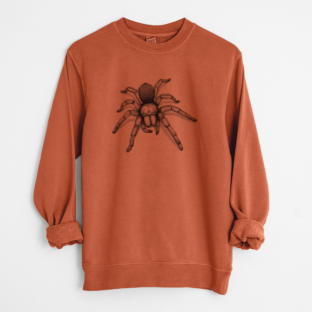 Desert Blonde Tarantula - Aphonopelma chalcodes - Unisex Pigment Dyed Crew Sweatshirt in Amber