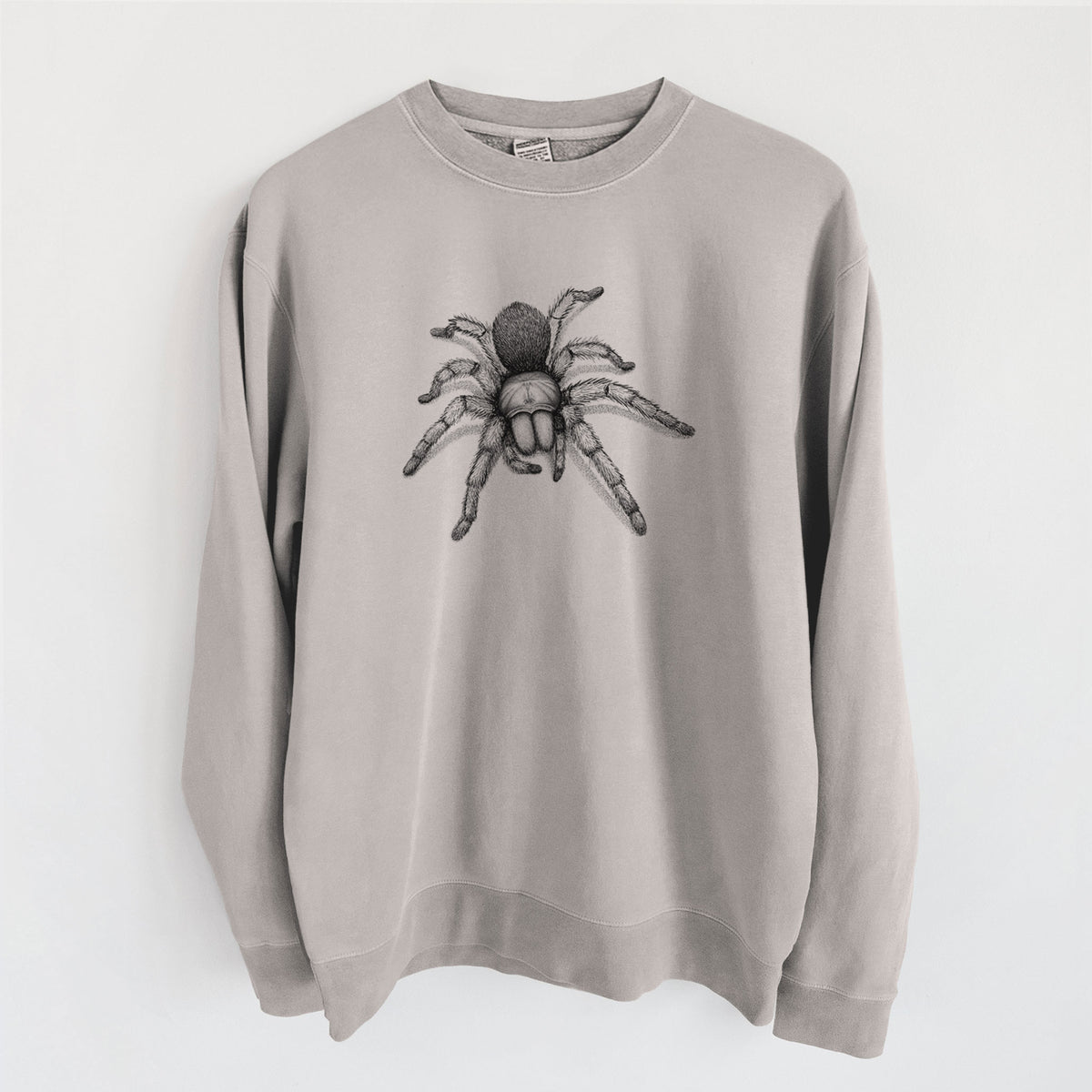 Desert Blonde Tarantula - Aphonopelma chalcodes - Unisex Pigment Dyed Crew Sweatshirt in Cement