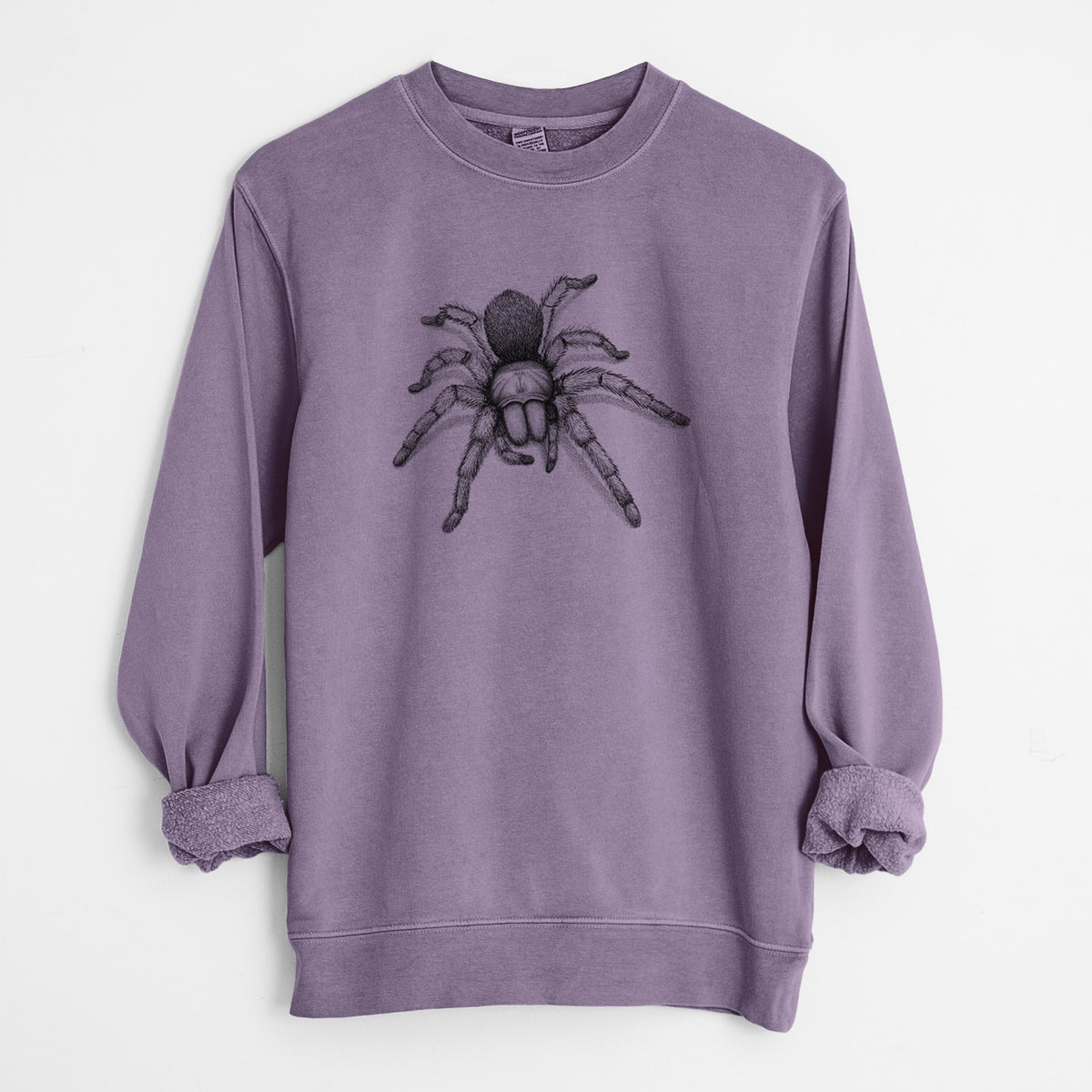 Desert Blonde Tarantula - Aphonopelma chalcodes - Unisex Pigment Dyed Crew Sweatshirt in Plum