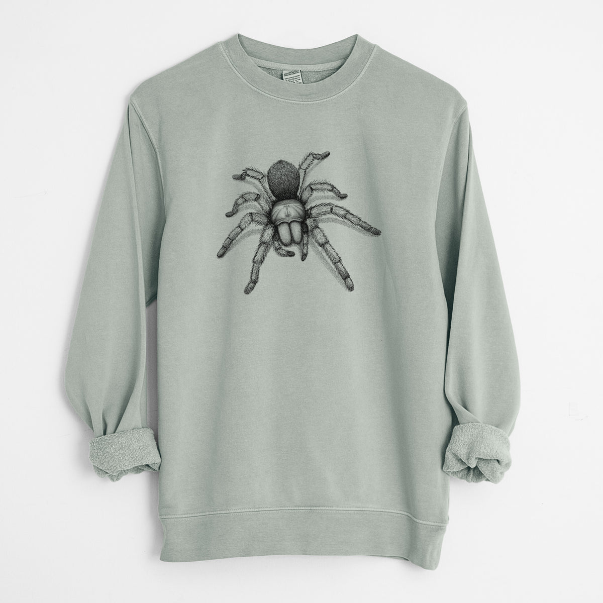Desert Blonde Tarantula - Aphonopelma chalcodes - Unisex Pigment Dyed Crew Sweatshirt in Sage