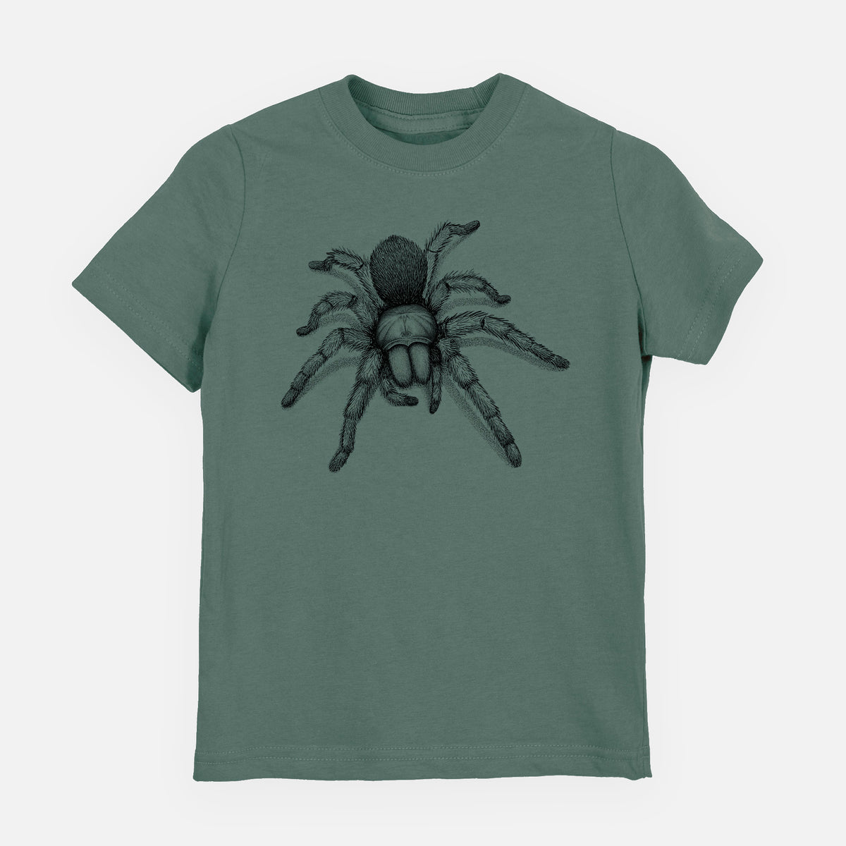 Basil green youth t-shirt laid flat, printed with a detailed black ink illustration of a desert blonde tarantula.