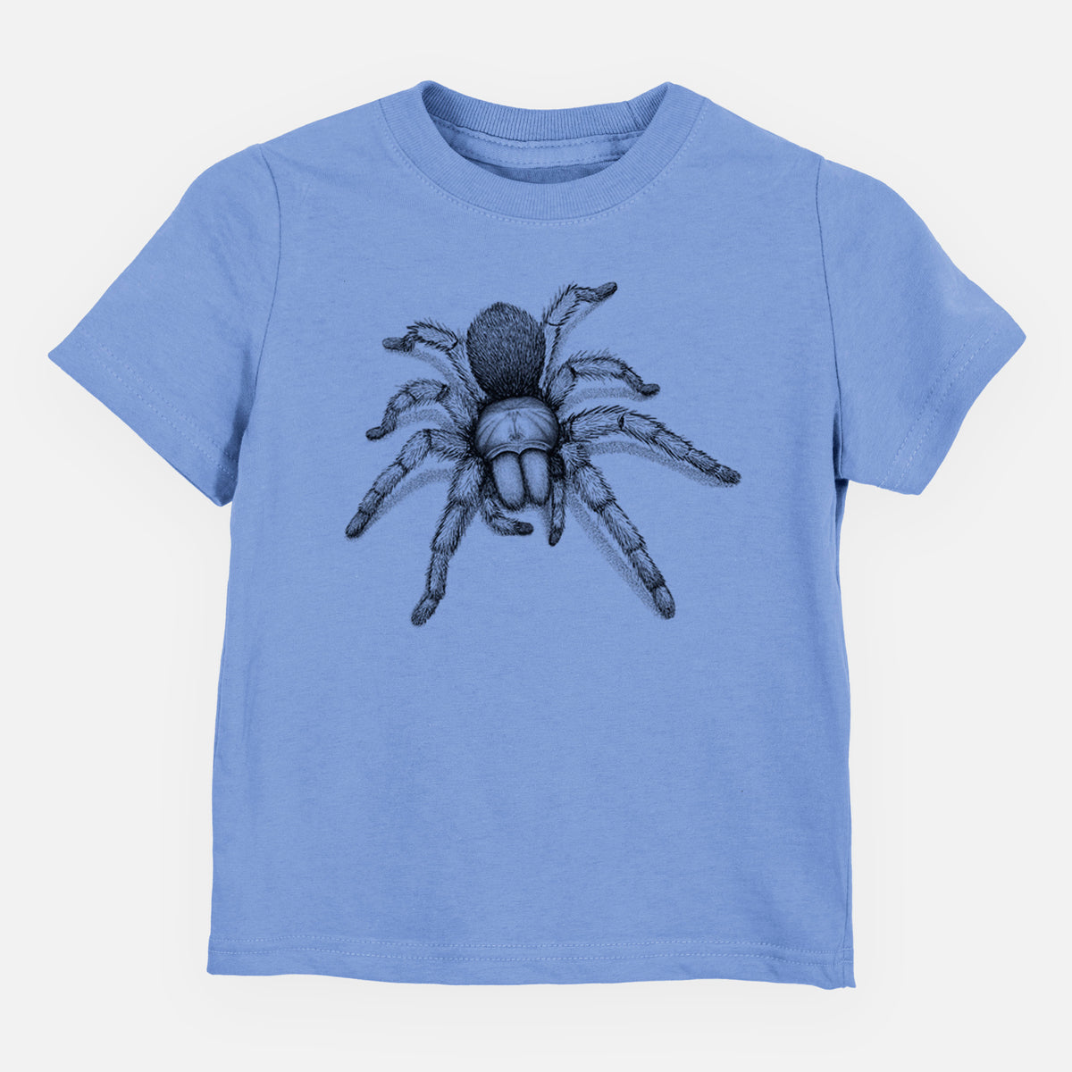 Carolina blue toddler t-shirt laid flat, printed with a detailed black ink illustration of a desert blonde tarantula.