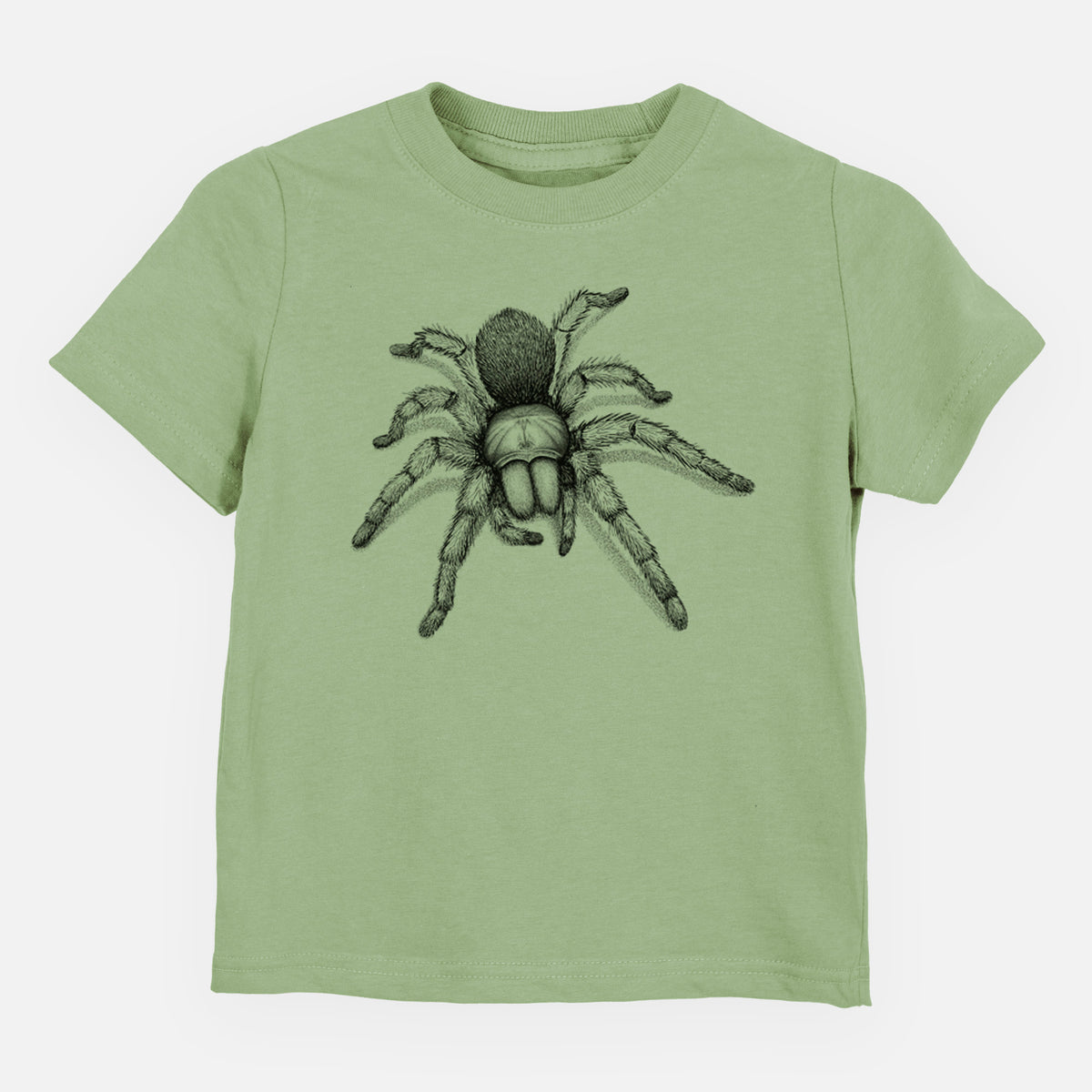 Sage green toddler t-shirt laid flat, printed with a detailed black ink illustration of a desert blonde tarantula.