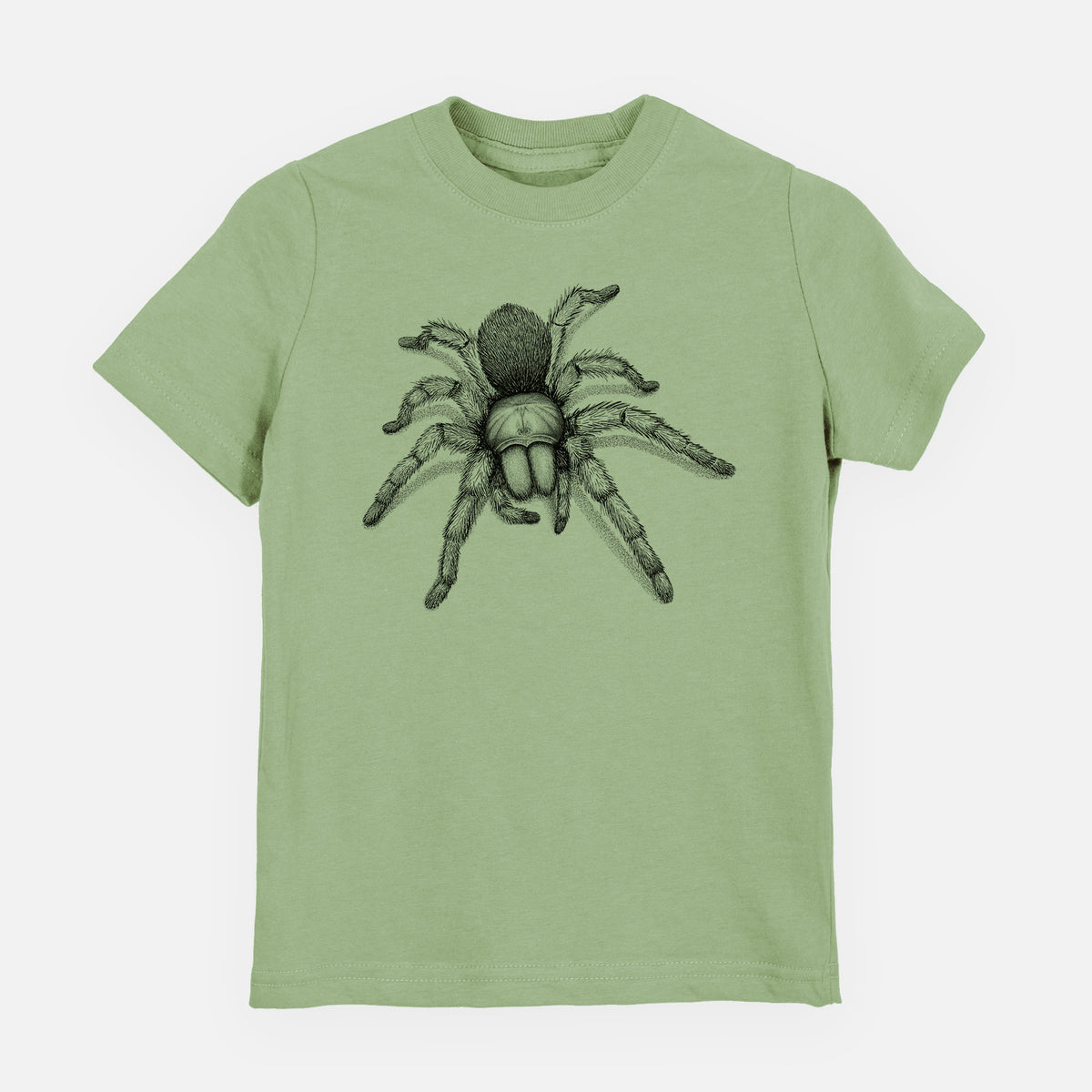 Sage green youth t-shirt laid flat, printed with a detailed black ink illustration of a desert blonde tarantula.