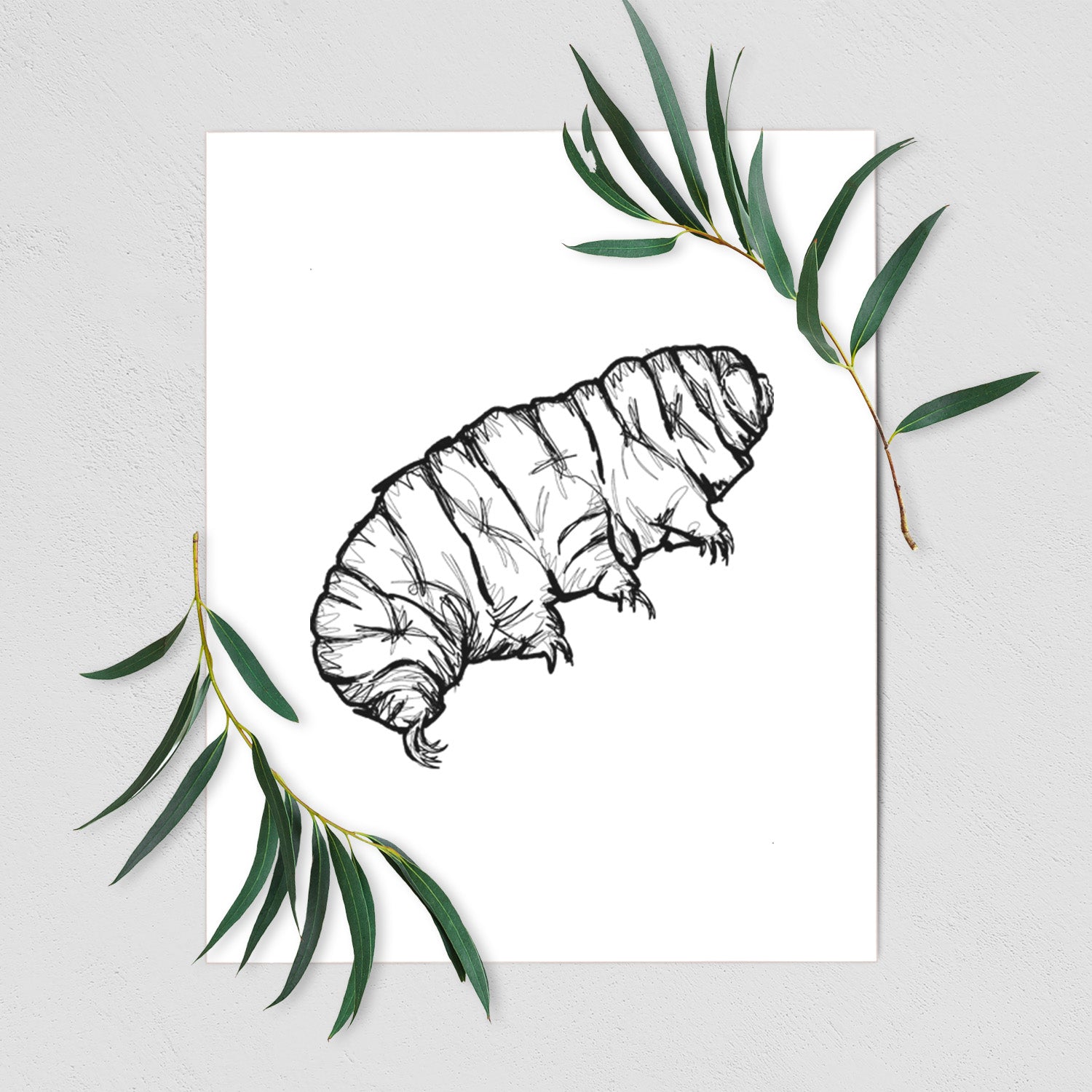 Art print of a detailed black ink illustration of a tardigrade, or water bear, shown with eucalyptus leaves.