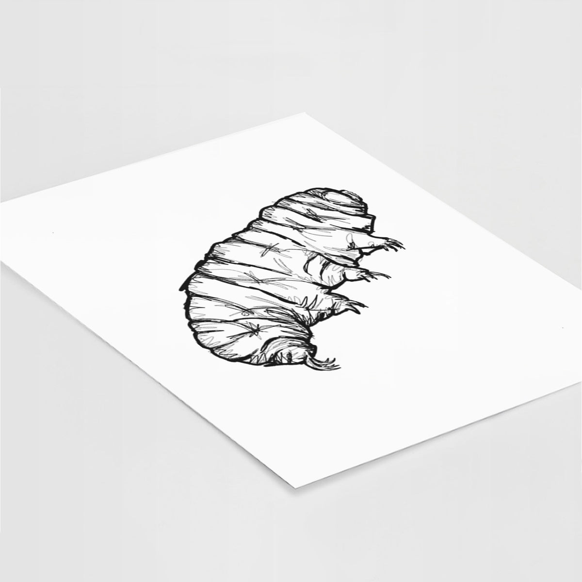 Art print of a detailed black ink illustration of a tardigrade, or water bear, lying at an angle on a white surface.