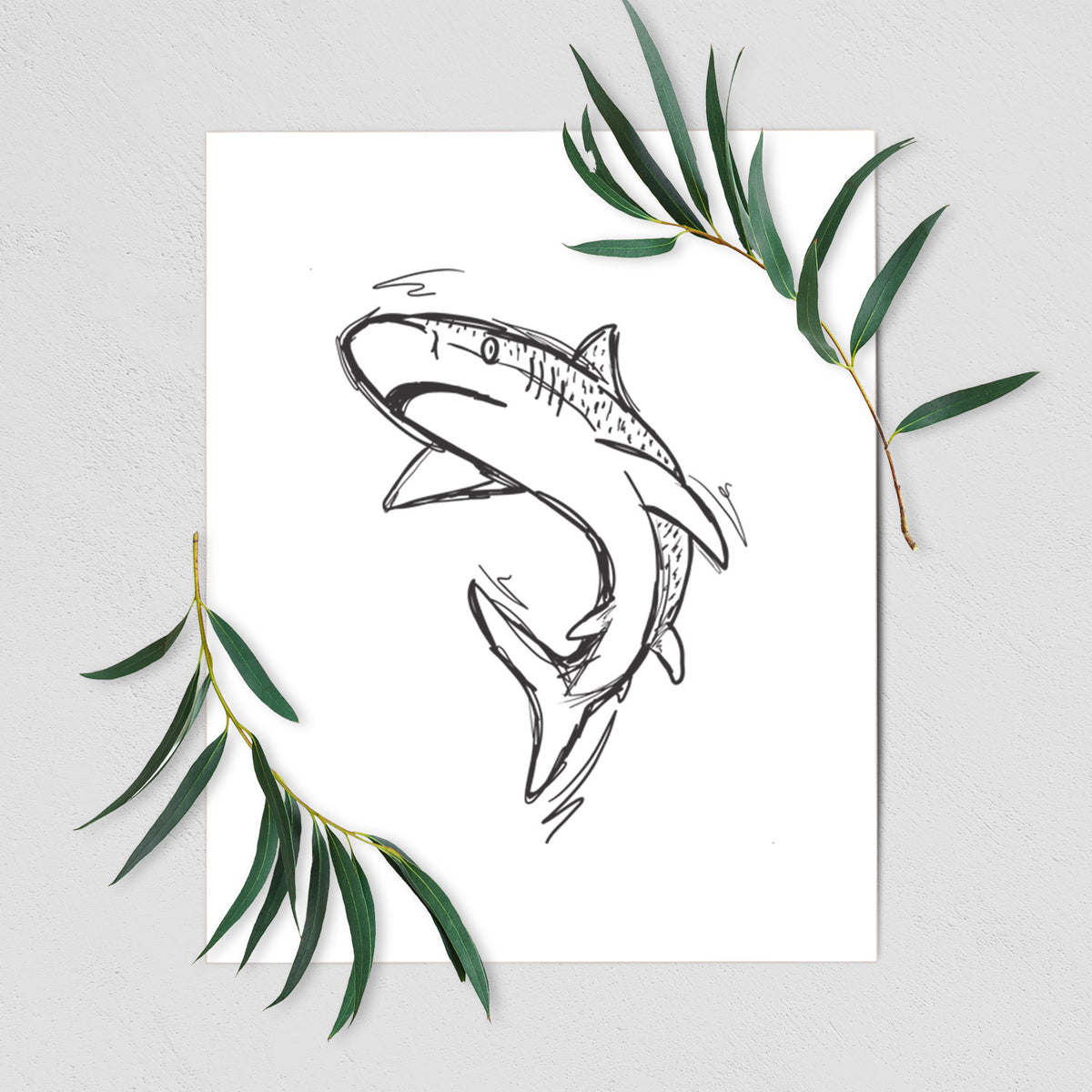 Art print of a black ink illustration of a tiger shark swimming in a curve, shown with eucalyptus leaves.