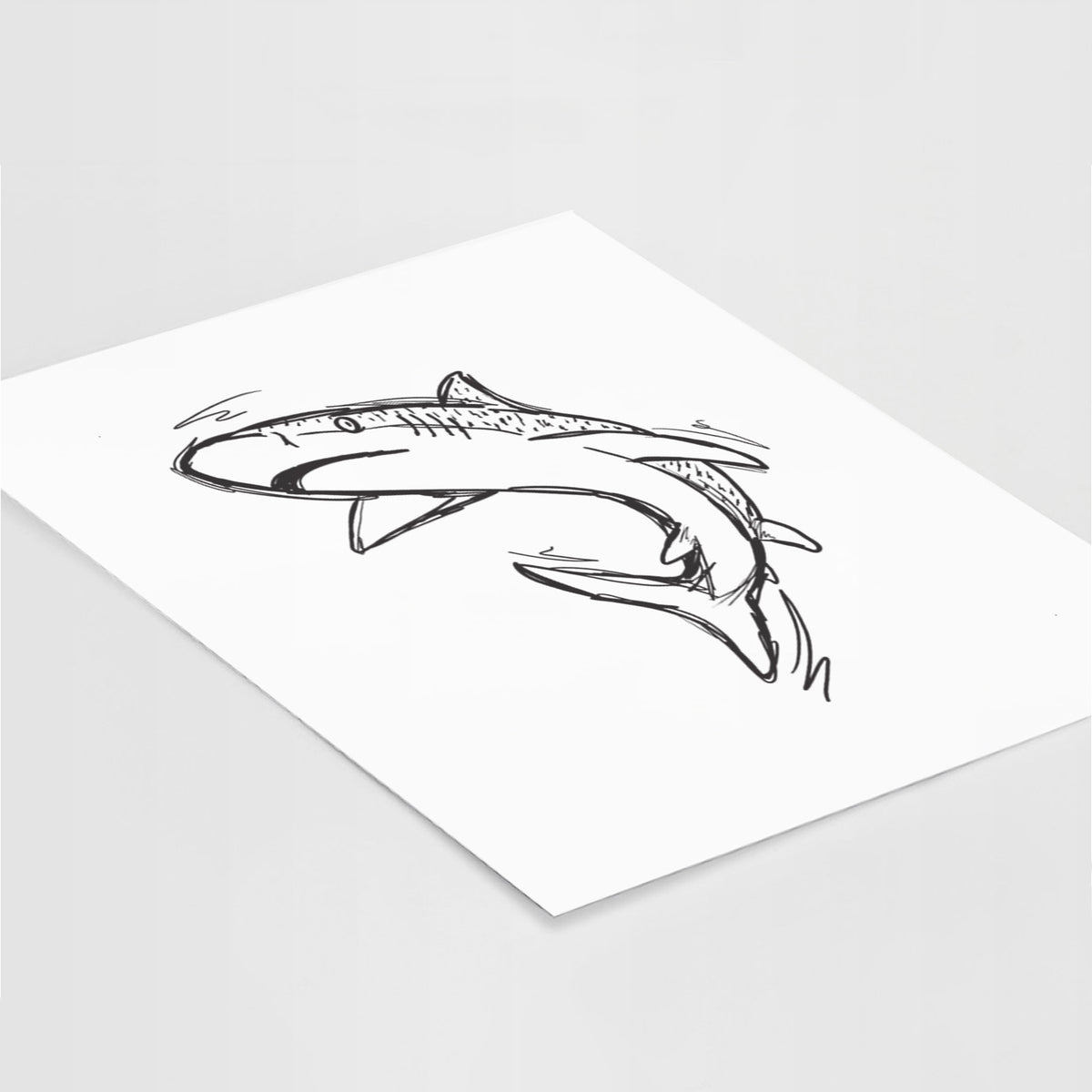 Art print of a black ink illustration of a tiger shark swimming in a curve, lying at an angle on a white surface.