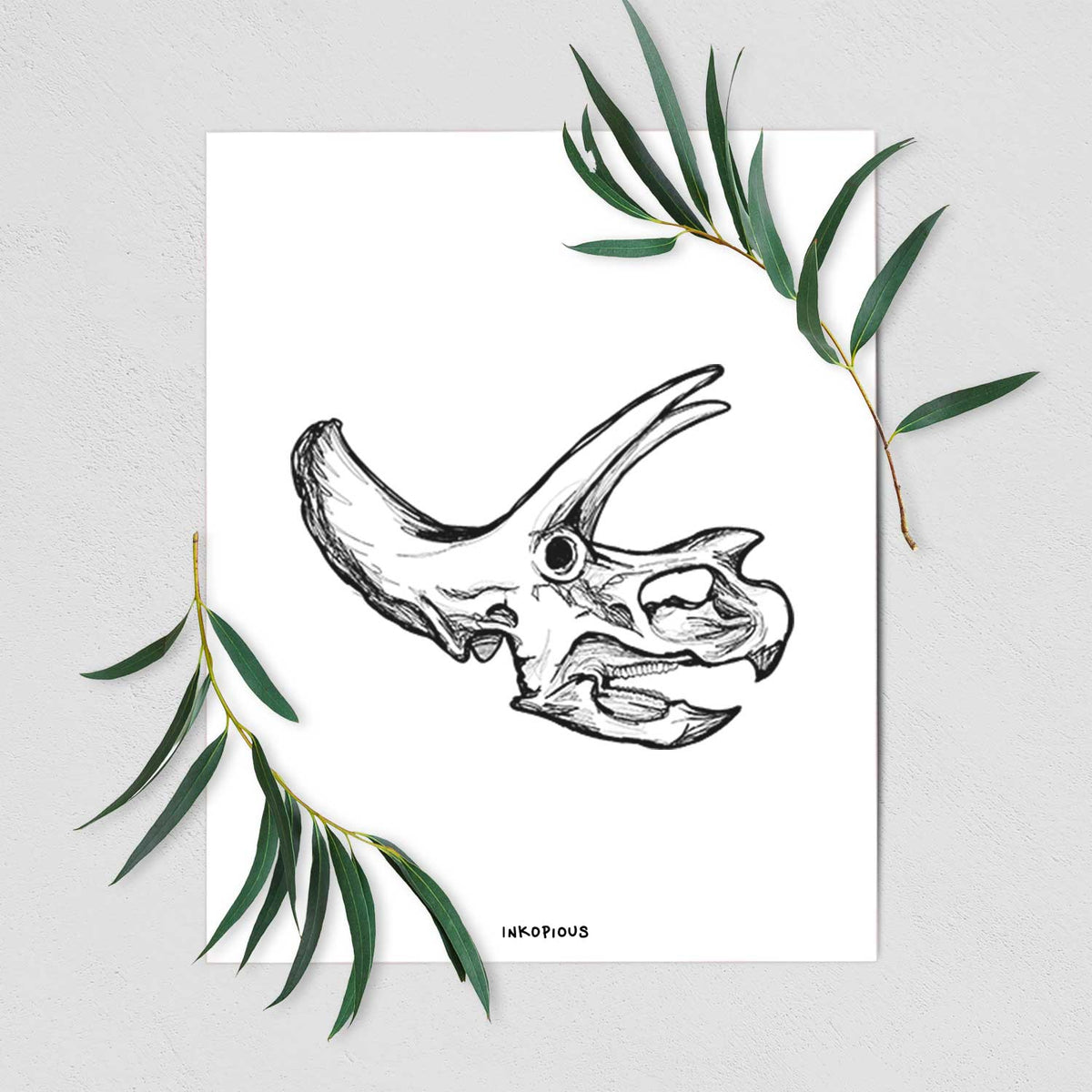Art print of a detailed black ink illustration of a Triceratops skull with its horns and frill, shown with eucalyptus leaves.