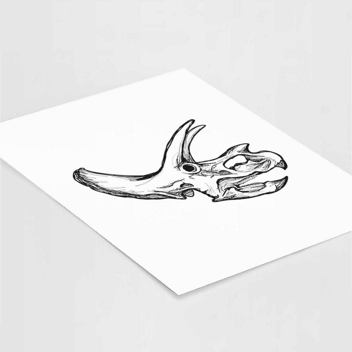 Art print of a detailed black ink illustration of a Triceratops skull with its horns and frill, lying at an angle on a white surface.