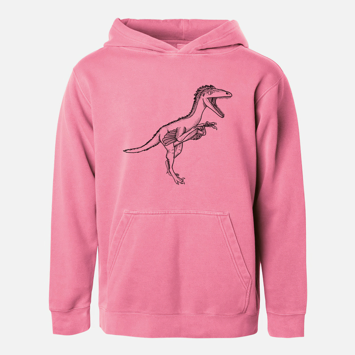 Pigment pink youth pigment dyed hoodie laid flat, printed with a black ink illustration of a Troodon dinosaur running.