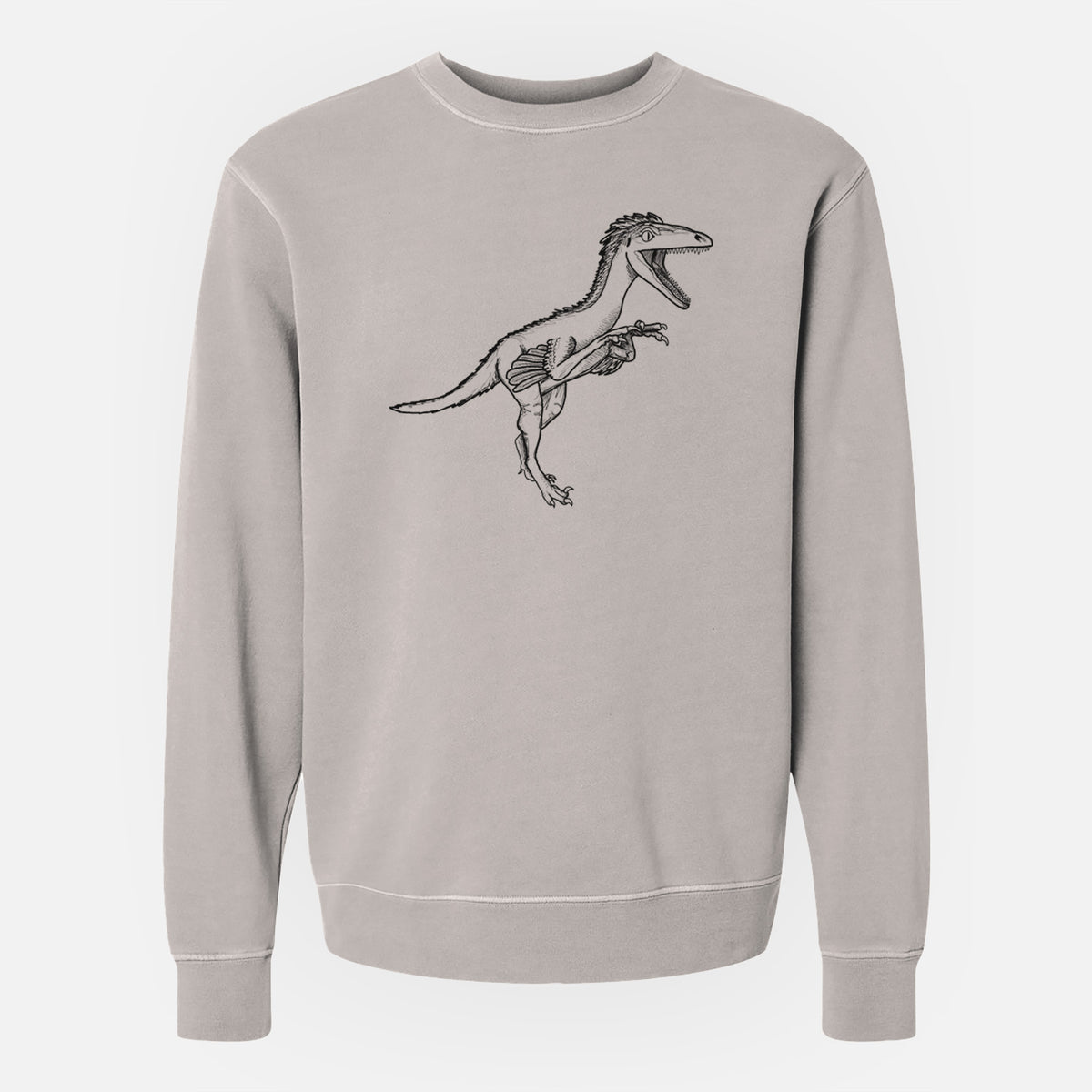 Cement grey pigment dyed crewneck sweatshirt laid flat, printed with a black ink illustration of a Troodon dinosaur running.