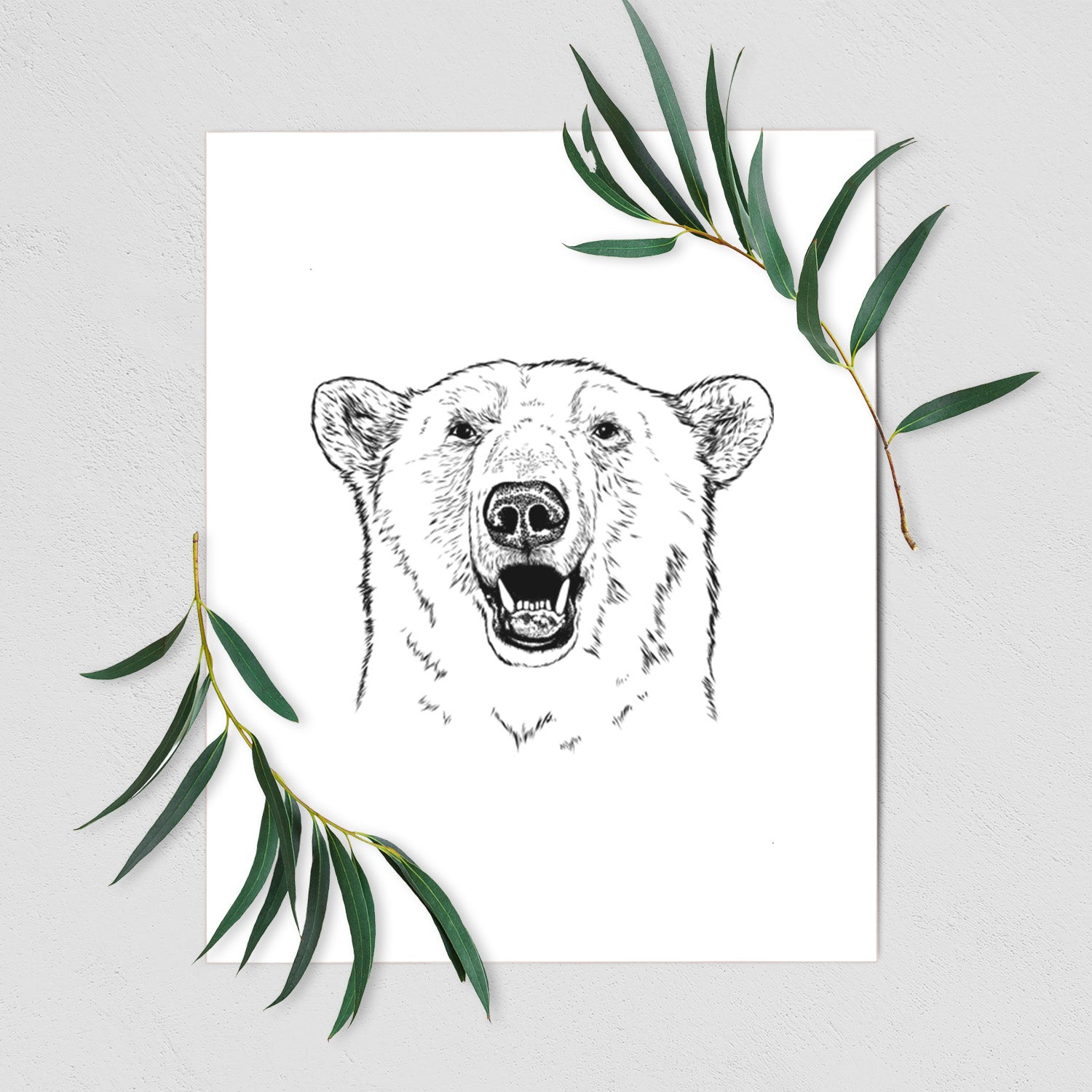 Art print of a black ink portrait of a smiling polar bear's face, shown with eucalyptus leaves.