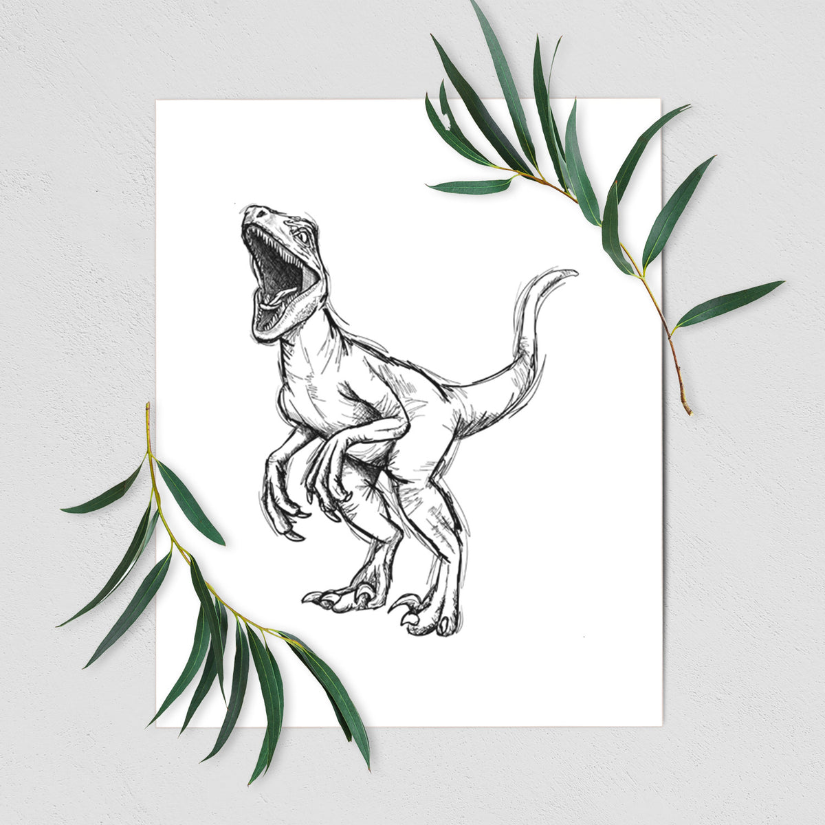Art print of a black ink illustration of a Velociraptor roaring, shown with eucalyptus leaves.