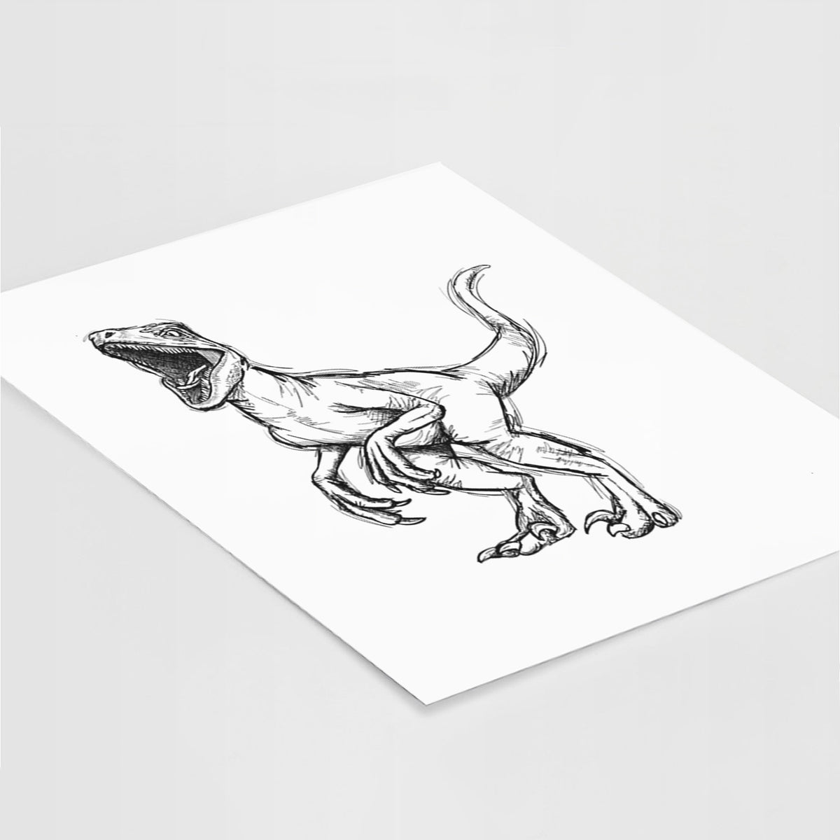 Art print of a black ink illustration of a Velociraptor roaring, lying at an angle on a white surface.
