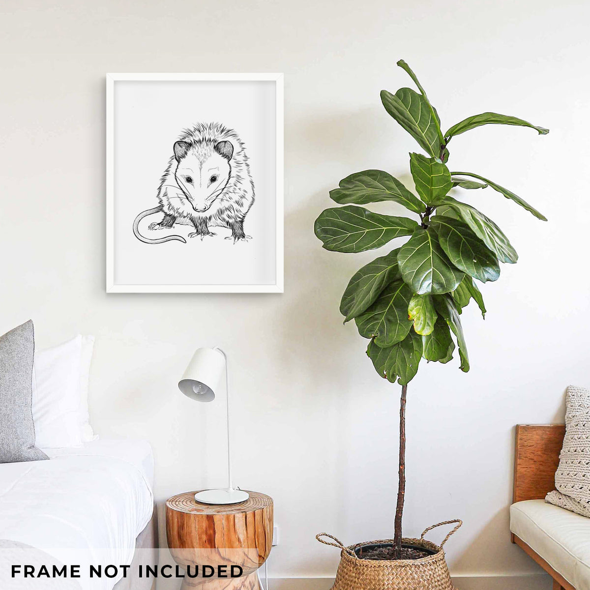 Art print of a detailed black ink illustration of a Virginia opossum standing with its long tail curled, shown framed on a living room wall beside a potted plant. Frame not included.