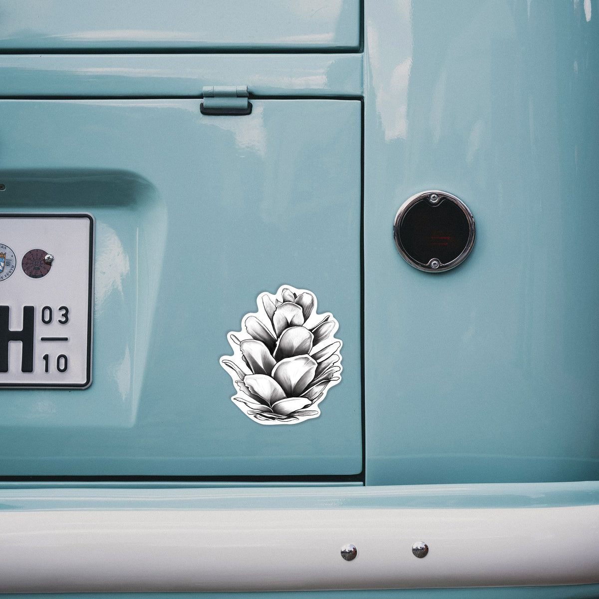4 inch vinyl decal of a detailed black ink illustration of a western hemlock pine cone on the back of a van.