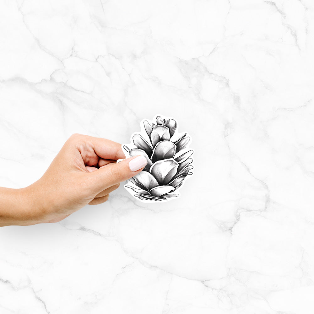 Hand holding a 4 inch vinyl decal of a detailed black ink illustration of a western hemlock pine cone.