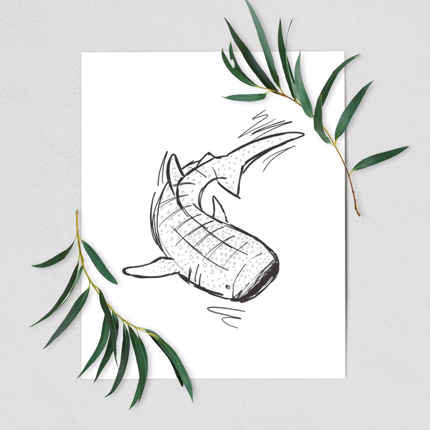 Art print of a black ink illustration of a spotted whale shark swimming, shown with eucalyptus leaves.