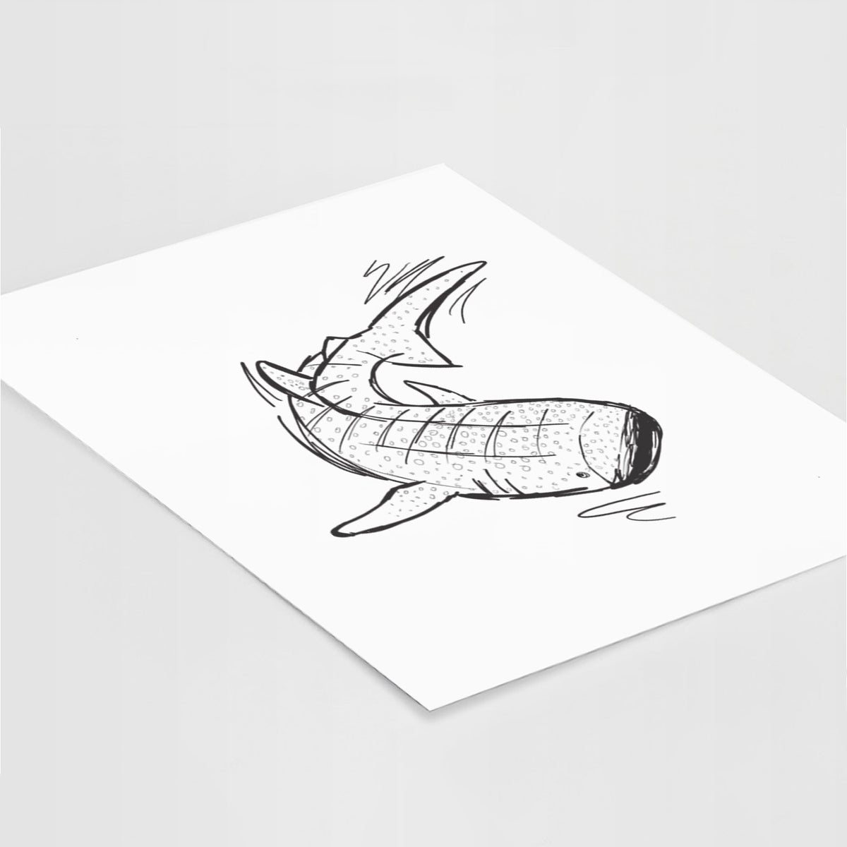 Art print of a black ink illustration of a spotted whale shark swimming, lying at an angle on a white surface.