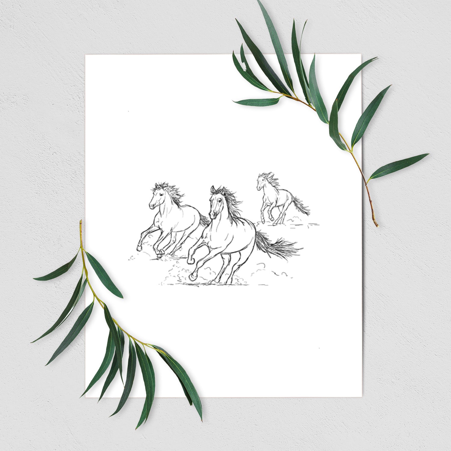 Art print of a black ink illustration of three wild horses galloping, shown with eucalyptus leaves.