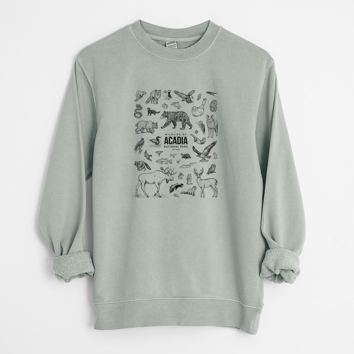 Wildlife of Acadia National Park - Unisex Pigment Dyed Crew Sweatshirt in Sage
