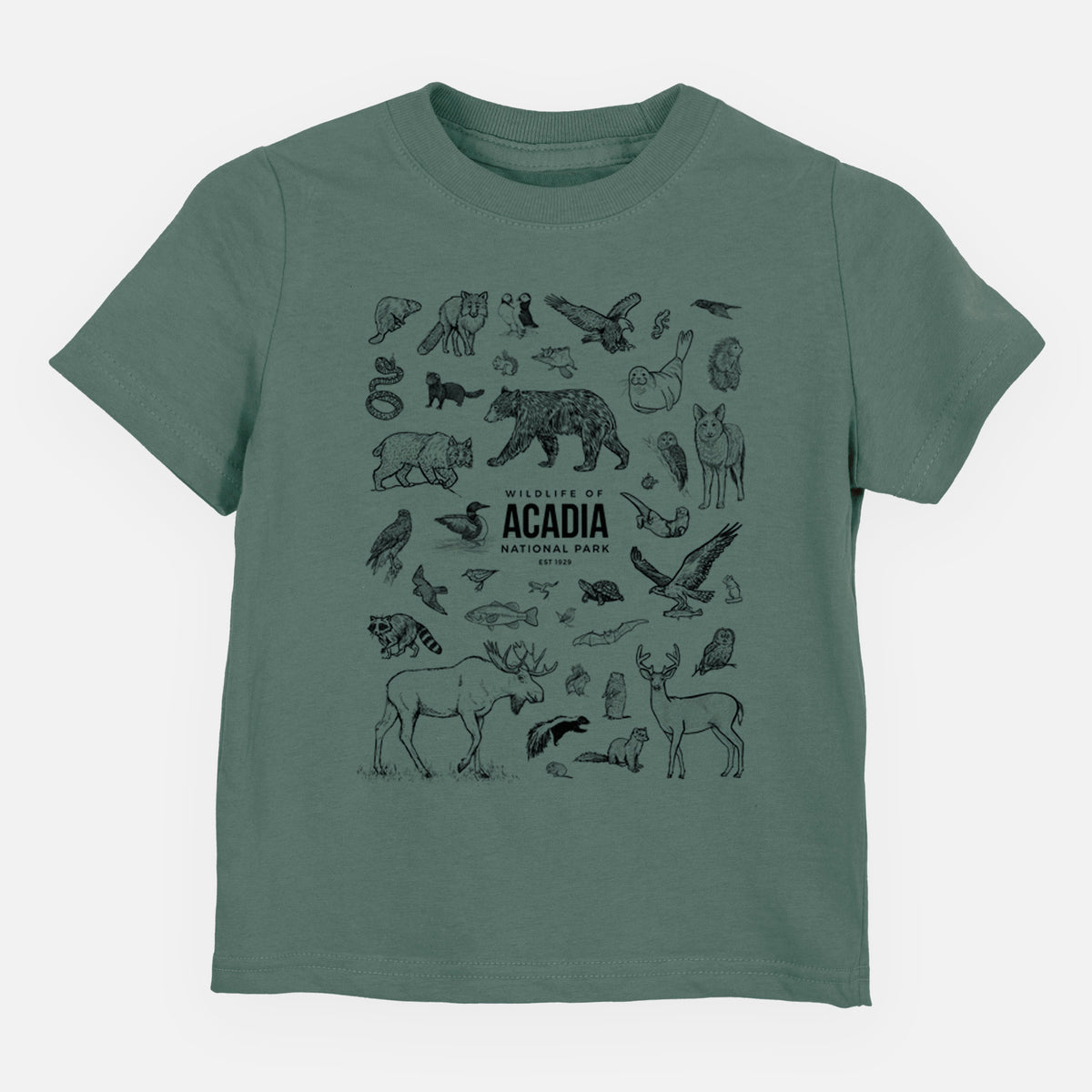 Basil green toddler t-shirt laid flat, printed with a collection of black ink wildlife illustrations surrounding the words Acadia National Park.