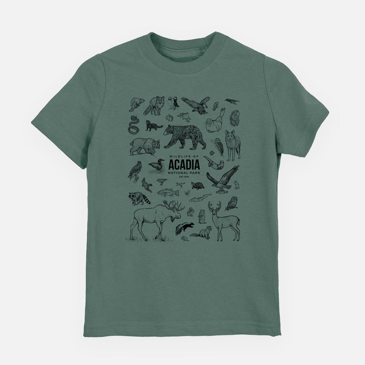 Basil green youth t-shirt laid flat, printed with a collection of black ink wildlife illustrations surrounding the words Acadia National Park.