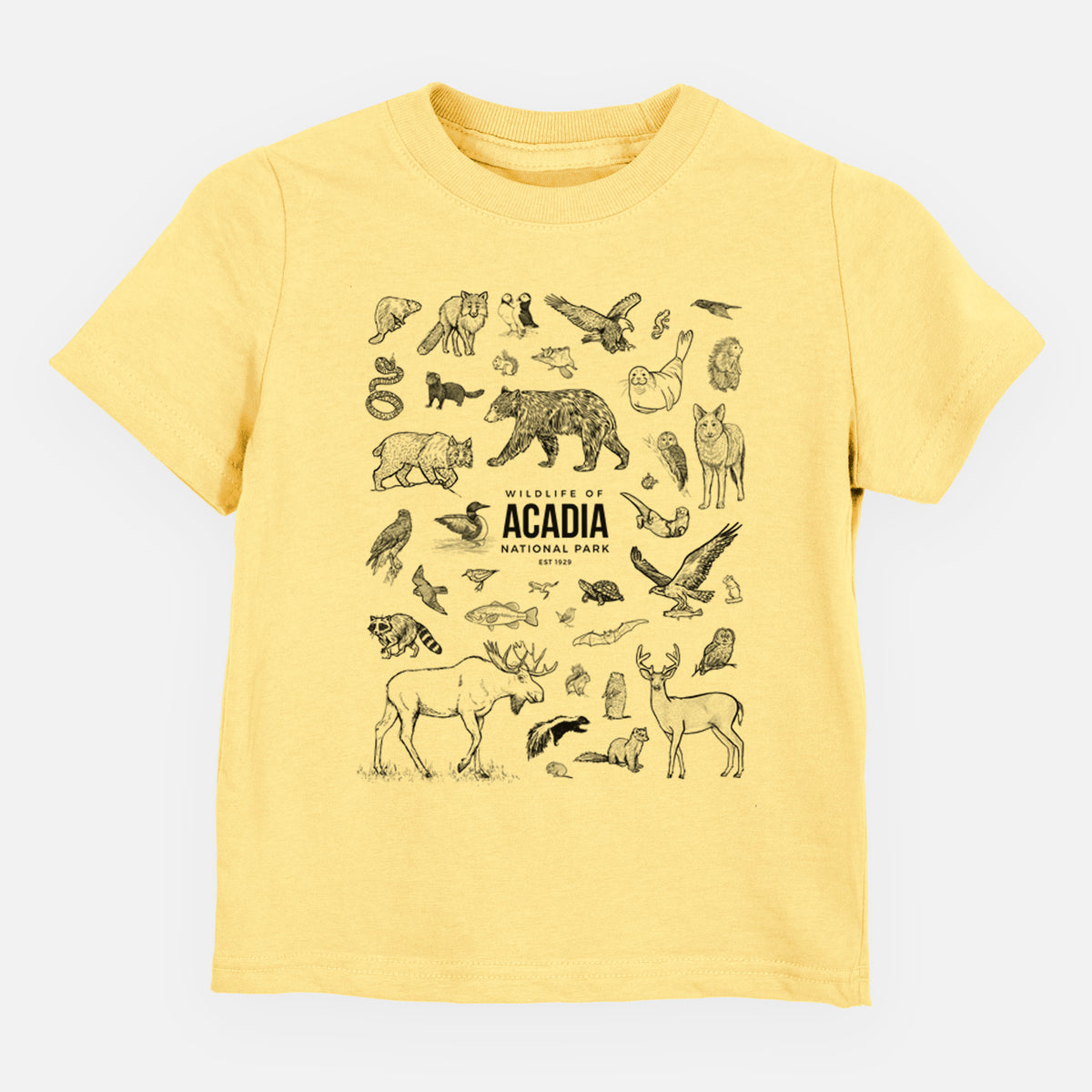 Butter yellow toddler t-shirt laid flat, printed with a collection of black ink wildlife illustrations surrounding the words Acadia National Park.