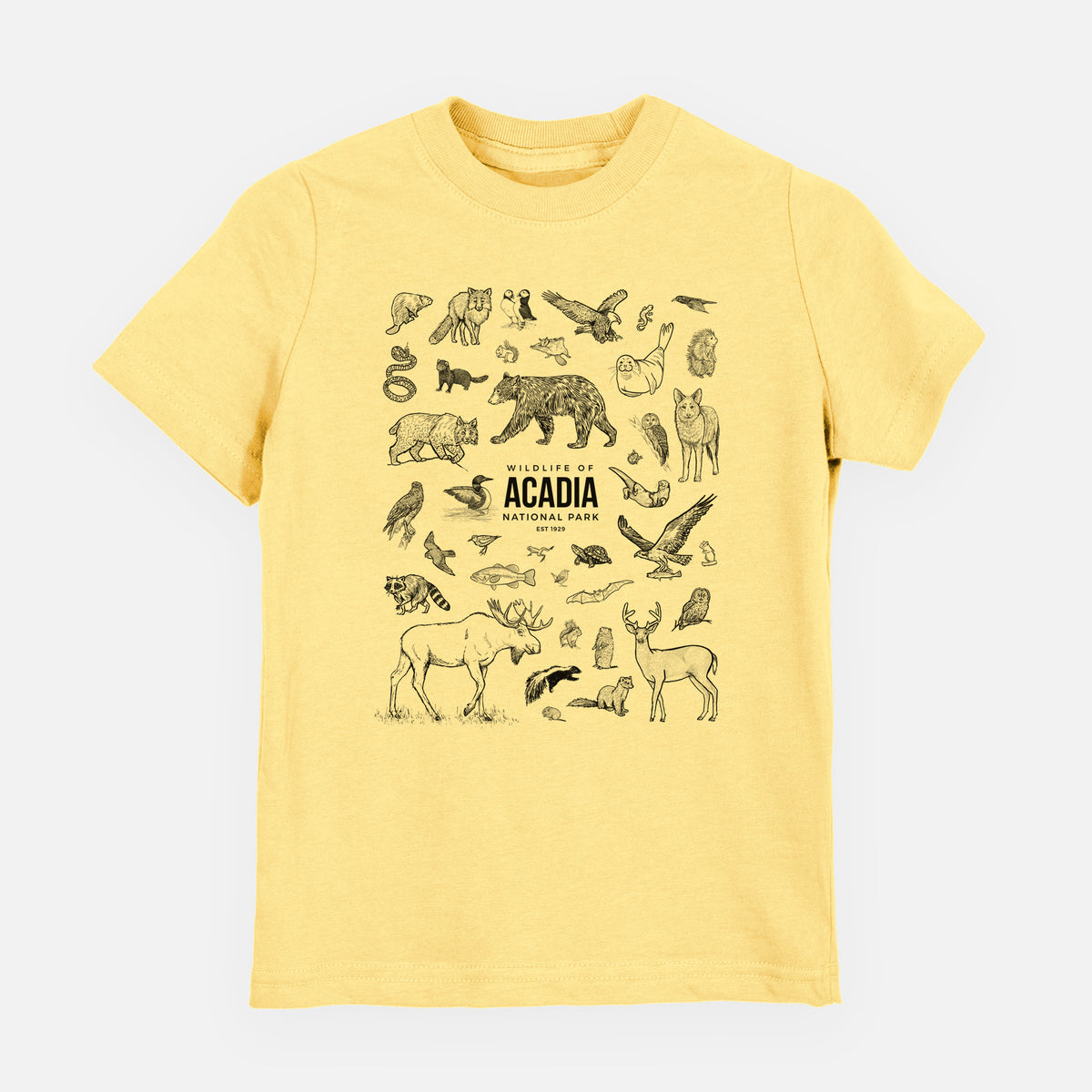 Butter yellow youth t-shirt laid flat, printed with a collection of black ink wildlife illustrations surrounding the words Acadia National Park.