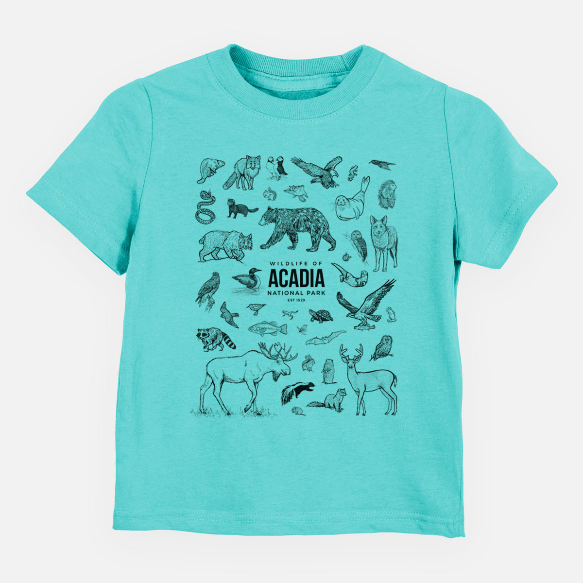Caribbean blue toddler t-shirt laid flat, printed with a collection of black ink wildlife illustrations surrounding the words Acadia National Park.