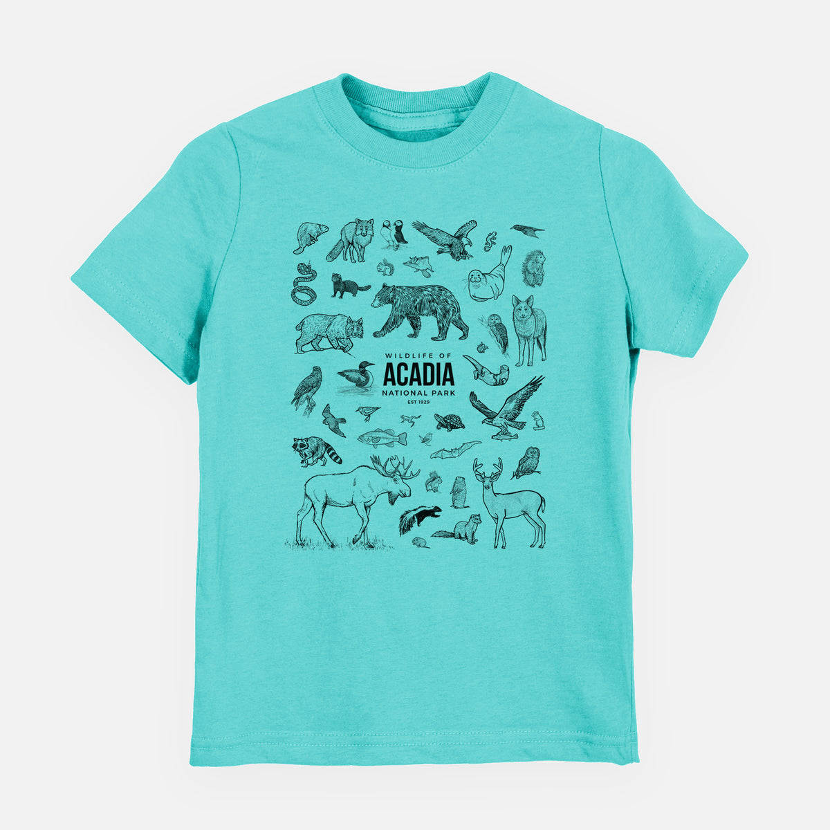 Caribbean blue youth t-shirt laid flat, printed with a collection of black ink wildlife illustrations surrounding the words Acadia National Park.