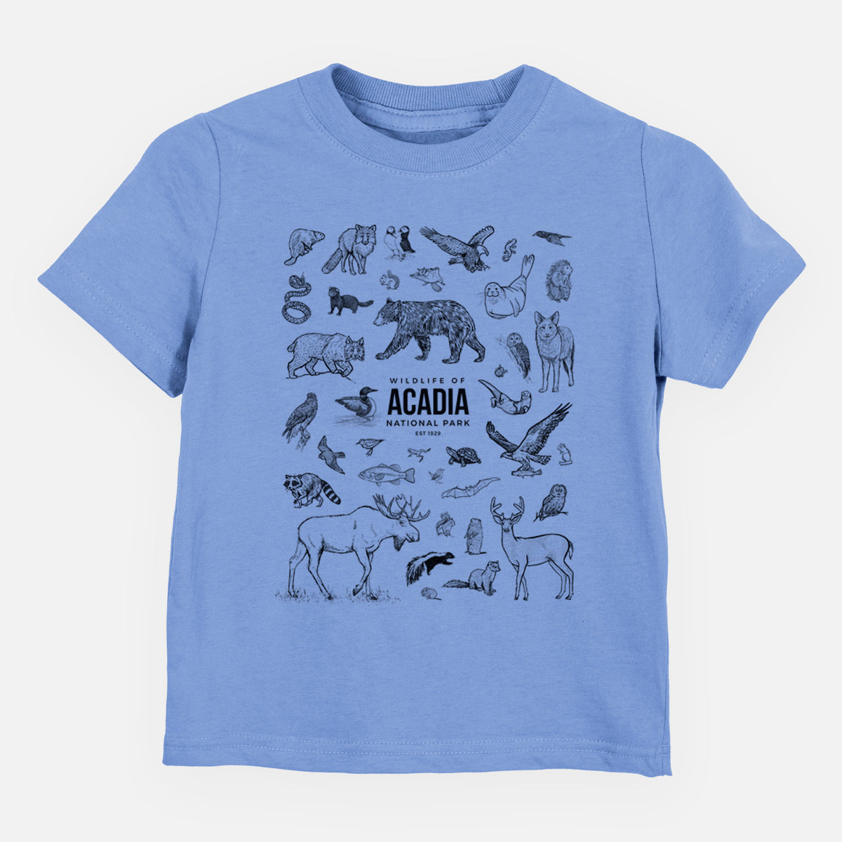 Carolina blue toddler t-shirt laid flat, printed with a collection of black ink wildlife illustrations surrounding the words Acadia National Park.