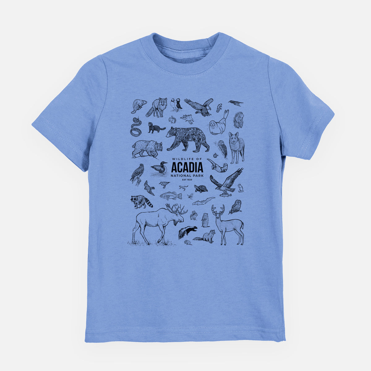 Carolina blue youth t-shirt laid flat, printed with a collection of black ink wildlife illustrations surrounding the words Acadia National Park.