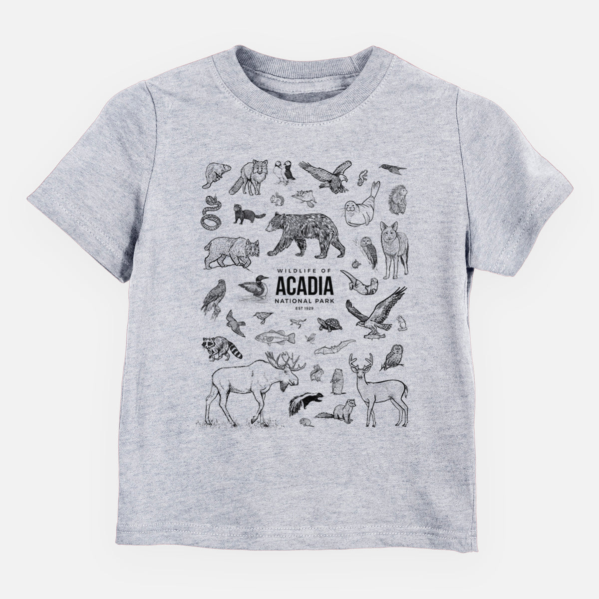 Heather grey toddler t-shirt laid flat, printed with a collection of black ink wildlife illustrations surrounding the words Acadia National Park.