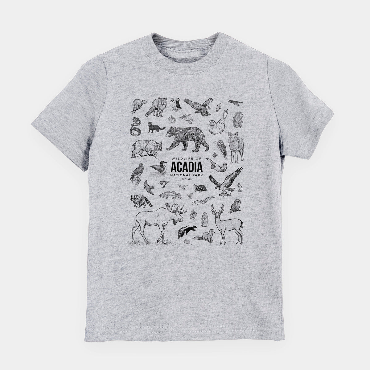 Heather grey youth t-shirt laid flat, printed with a collection of black ink wildlife illustrations surrounding the words Acadia National Park.