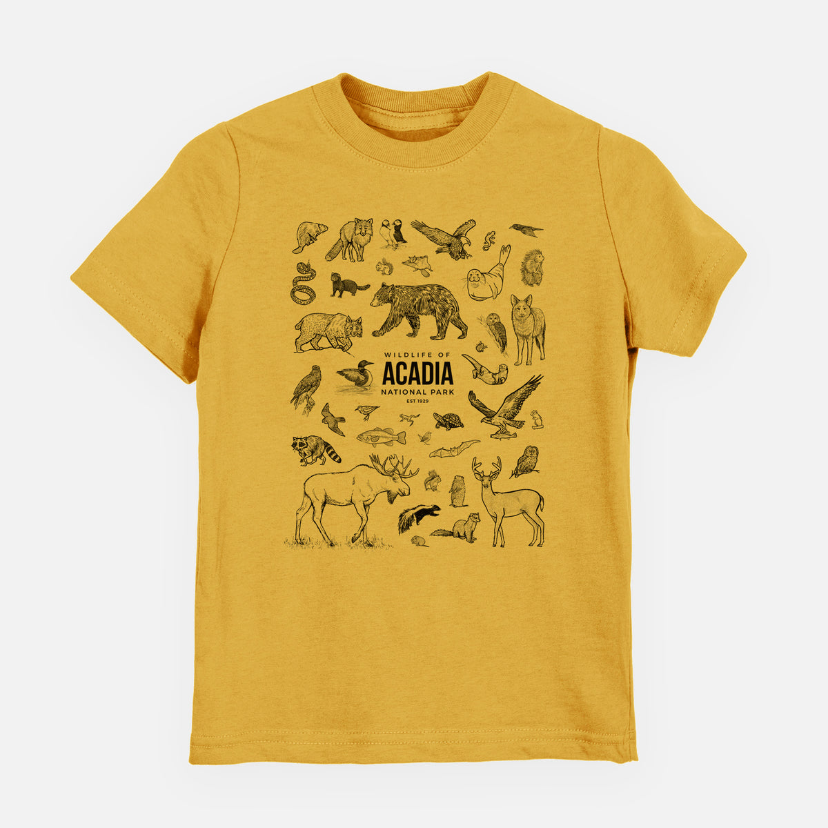 Honeycomb yellow youth t-shirt laid flat, printed with a collection of black ink wildlife illustrations surrounding the words Acadia National Park.