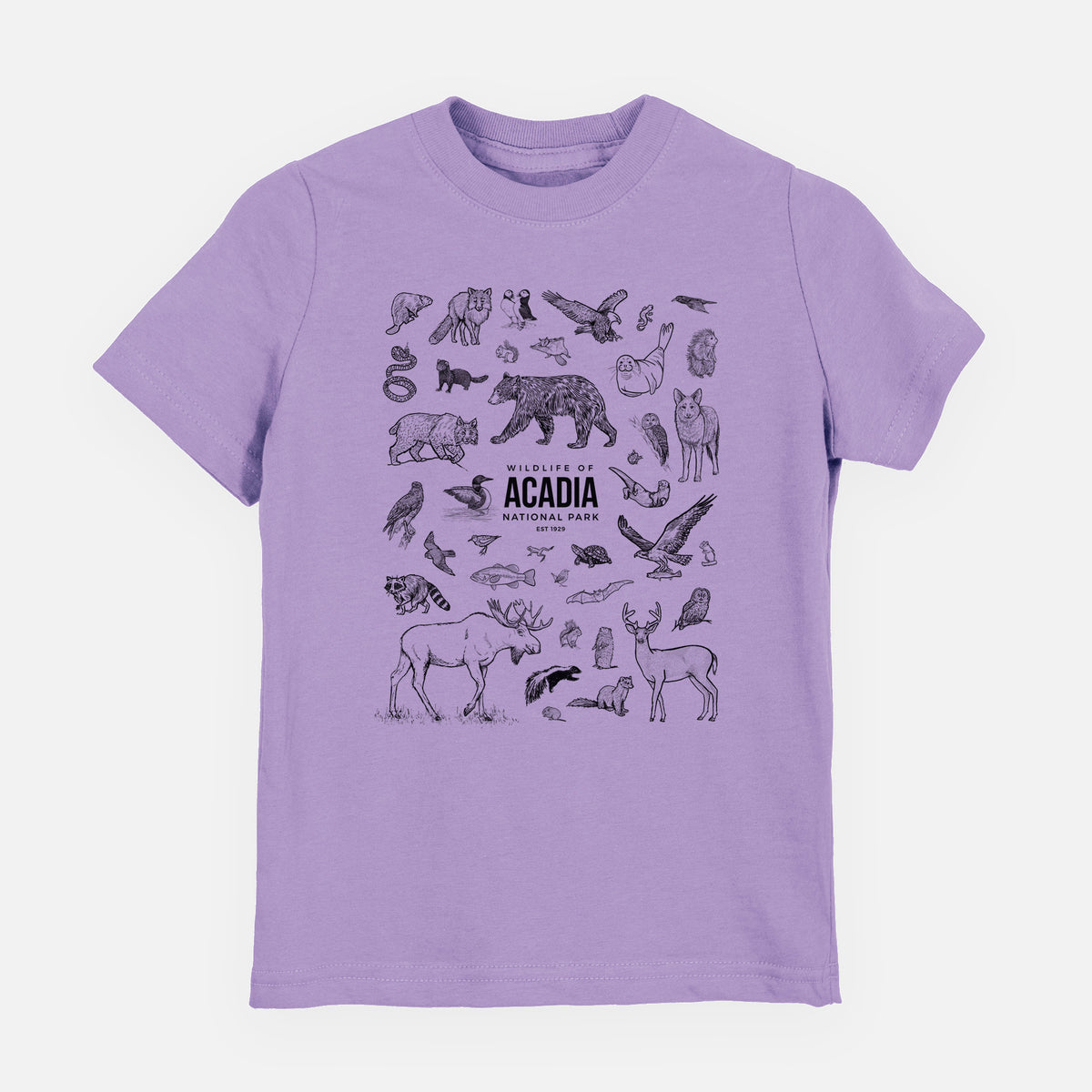 Lavender youth t-shirt laid flat, printed with a collection of black ink wildlife illustrations surrounding the words Acadia National Park.
