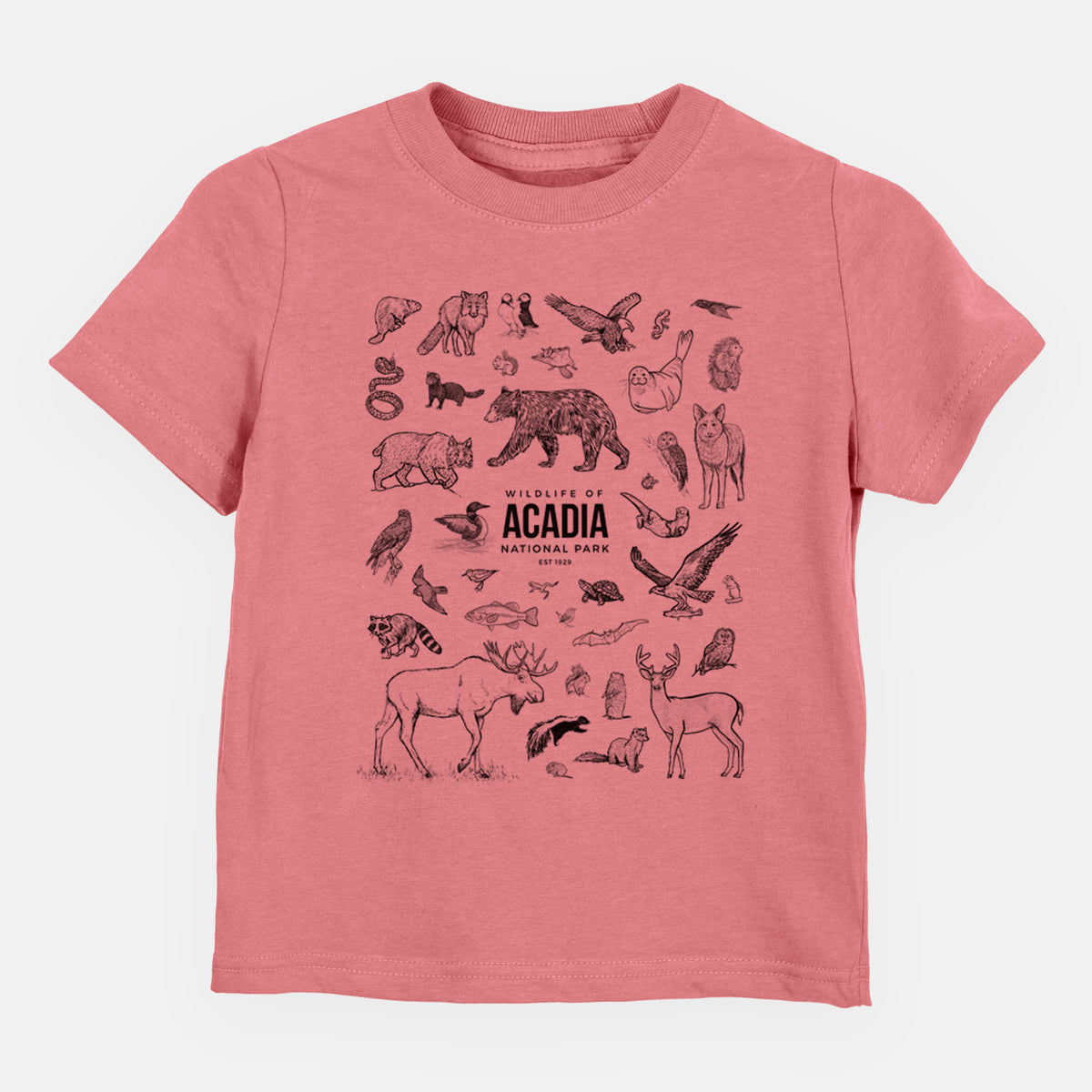 Mauve pink toddler t-shirt laid flat, printed with a collection of black ink wildlife illustrations surrounding the words Acadia National Park.