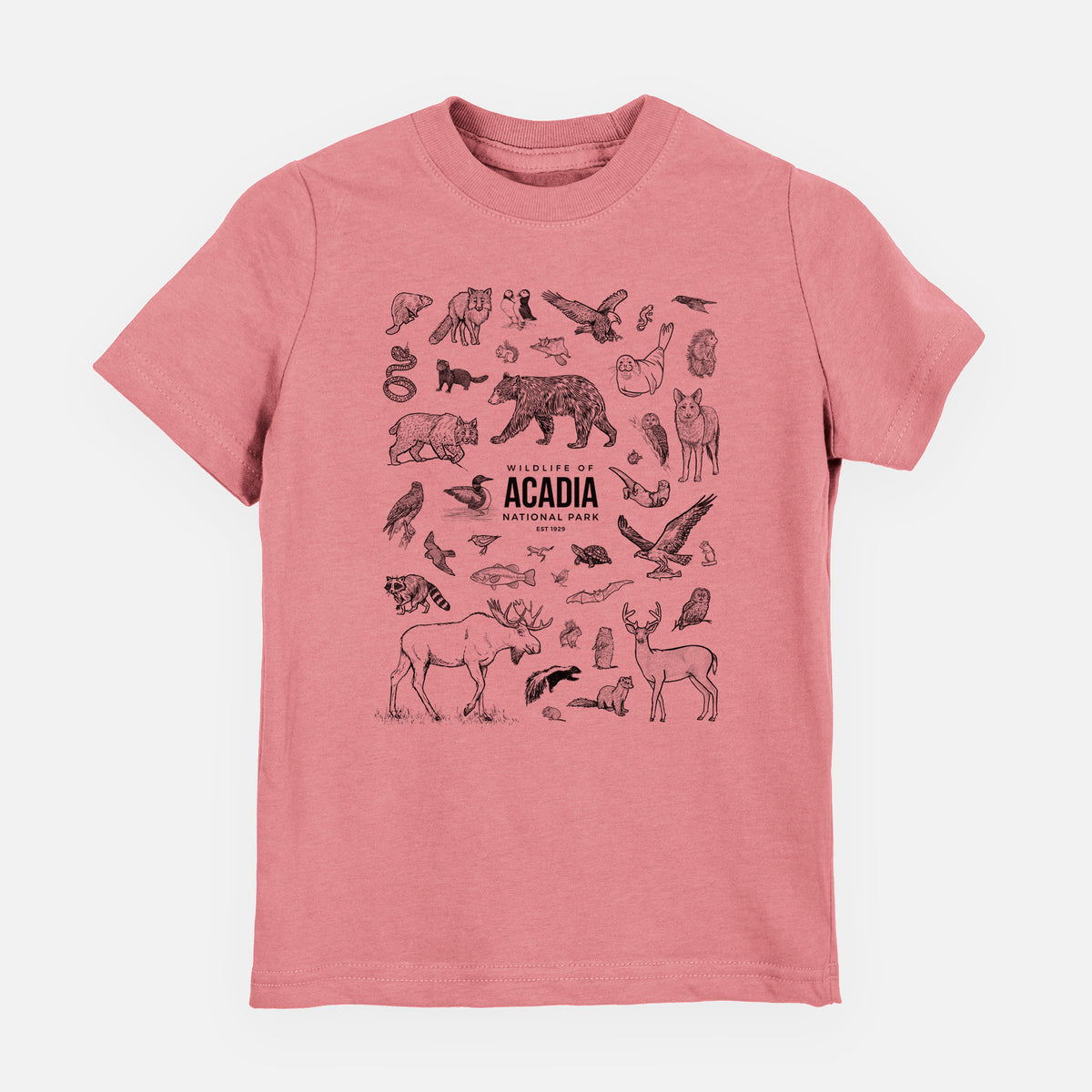 Mauve pink youth t-shirt laid flat, printed with a collection of black ink wildlife illustrations surrounding the words Acadia National Park.