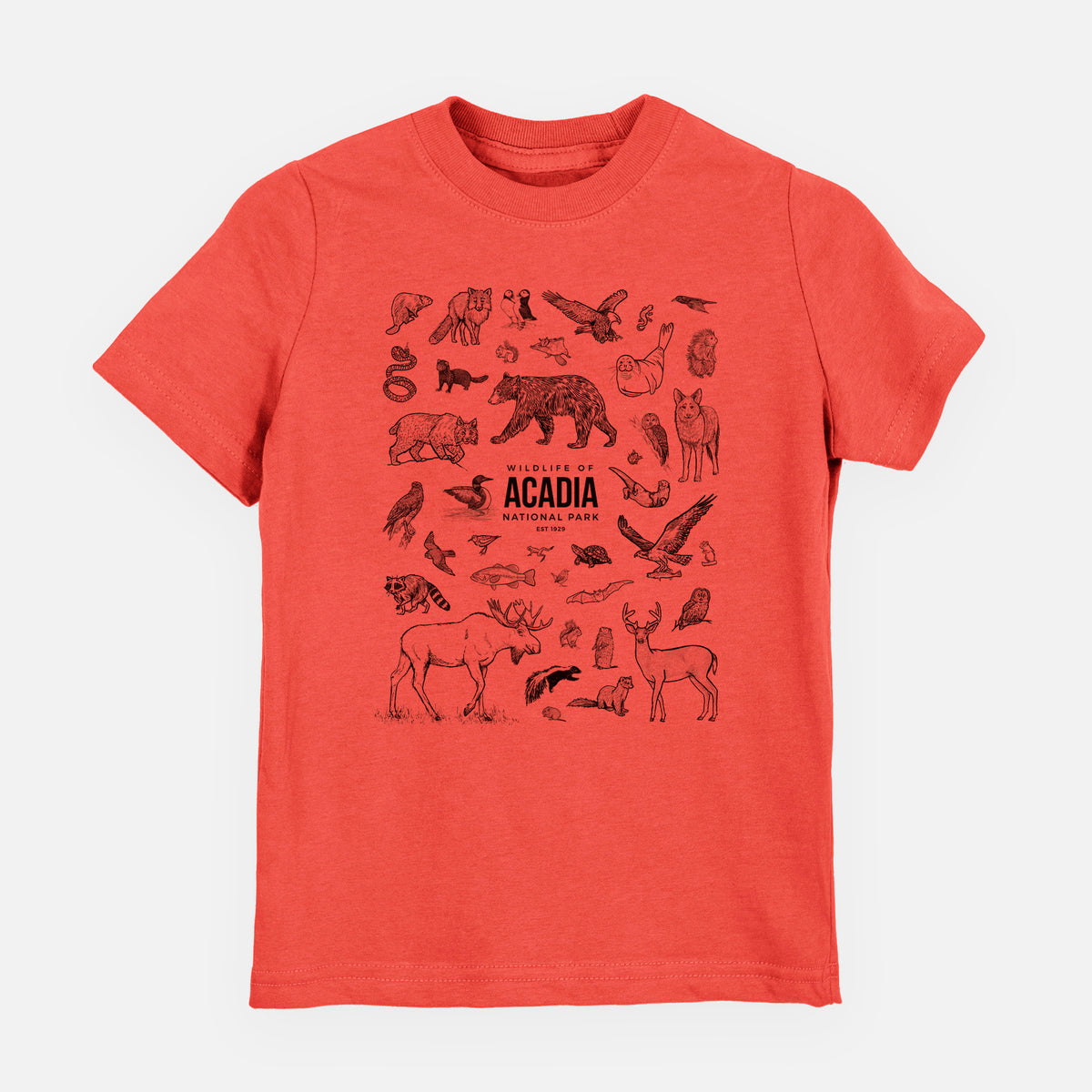 Passionfruit pink youth t-shirt laid flat, printed with a collection of black ink wildlife illustrations surrounding the words Acadia National Park.