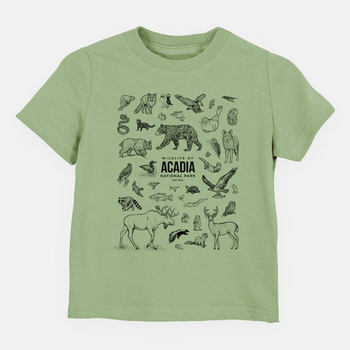 Sage green toddler t-shirt laid flat, printed with a collection of black ink wildlife illustrations surrounding the words Acadia National Park.