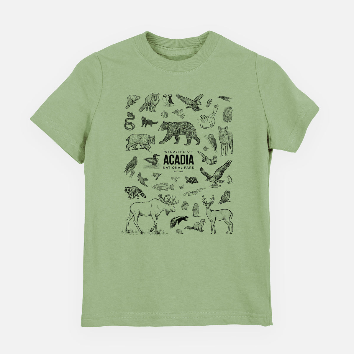 Sage green youth t-shirt laid flat, printed with a collection of black ink wildlife illustrations surrounding the words Acadia National Park.