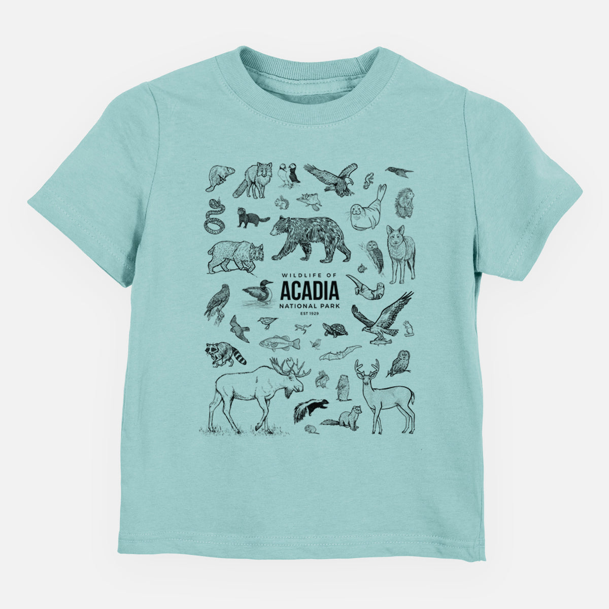 Saltwater toddler t-shirt laid flat, printed with a collection of black ink wildlife illustrations surrounding the words Acadia National Park.