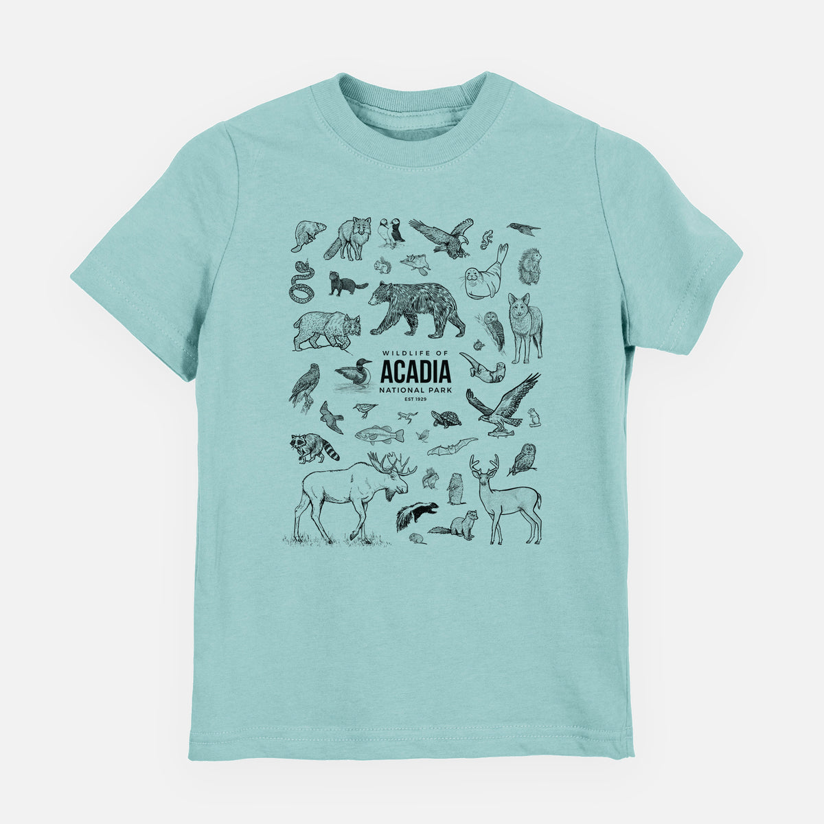 Saltwater youth t-shirt laid flat, printed with a collection of black ink wildlife illustrations surrounding the words Acadia National Park.