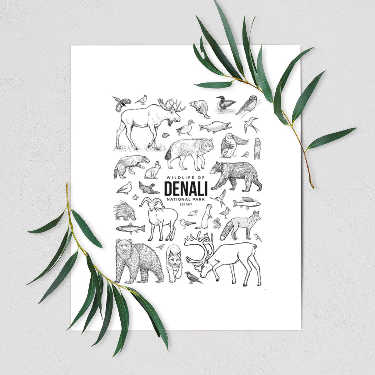 Art print of a collection of black ink wildlife illustrations surrounding the words Denali National Park, shown with eucalyptus leaves.